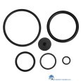 4078500055376-gardena-reserve-afdichtkit-vervangings-rubbers-voor-3-liter-en-5-liter-drukspuiten