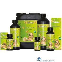 PRODUCTNLIJN ATA NRG BI-BLOOMBASTIC 250 ML