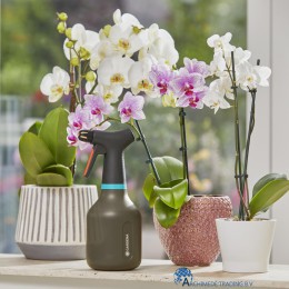 4078500052351-gardena-plantenspuit-750-ml-ideaal-voor-het-bevochtigen-van-bloemen-en-planten