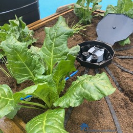5060151870087-autopot-aquabox-spyder-in-moestuin