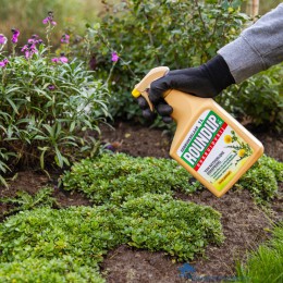 8711969036864-roundup-natuurlijk-onkruidvrij-gebruiksklaar-1-liter-sfeerfoto-highres