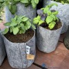 root-pouch-grey-without-handles-different-sizes-with-herbsjpg-Xw86x