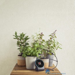 4078500049481 GARDENA AQUABLOOM 3 IN 1 VAKANTIEBEWATERINGSSET OP ZONNE-ENERGIE WOONKAMER PLANTEN AUTOMATISCH WATERGEVEN