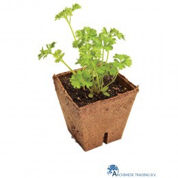 JIFFY POT VIERKANT 8 CM SFEERFOTO