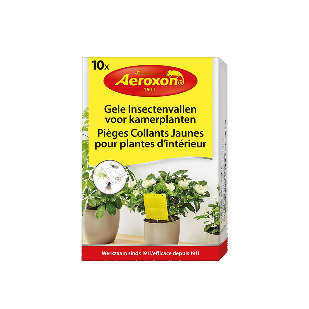 AEROXON GELE INSECTENVALLEN VOOR KAMERPLANTEN 10 STUKS