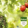 8711969032545-pokon-tegen-hardnekkige-insecten-concentraat-250ml-sfeerfoto-1000px