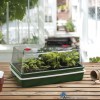 5031670003898-garland-verwarmde-xl-propagator-59-x-41-x-265-cm-24-watt-verwarmd-ongeveer-8-graden-celsius-boven-de-omgevingstemperatuur