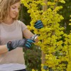 4078500051873-gardena-struikonderhoud-handschoenen-maat-m-perfect-voor-het-snoeien-van-struiken-en-planten