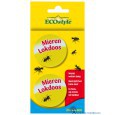 8711731004473 ECOSTYLE MIERENLOKDOOS VERPAKT PER 2 NATUURLIJK MIEREN BESTRIJDEN