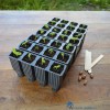 5031670004208-garland-28-cell-deep-root-success-kit-g227-resultaat