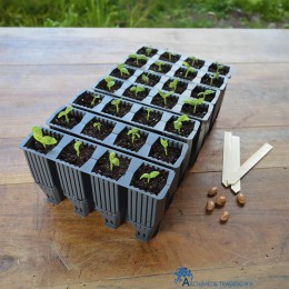 5031670004208-garland-28-cell-deep-root-success-kit-g227-resultaat