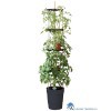 5031670003737 GARLAND ZELF BEWATERENDE POT 11 LITER ANTRACIET