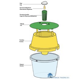 INSTRUCTIE RUSSELL IPM MOTTENVAL INCL. 2X BUXUSMOT FEROMOON
