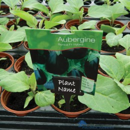 5031670508683-garland-zwarte-plantenlabels-vierkant-10-stuks-sfeer-2