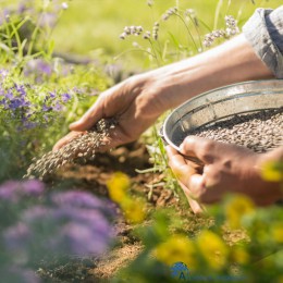 8711969013865-pokon-tuimest-1-kg-sfeerfoto