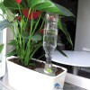 8004779025112-gf-garden-aquaflora-holiday-plant-with-2-liter-pet-bottle
