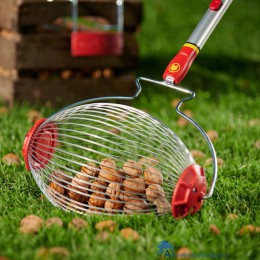 4008423913095 WOLF-GARTEN FC-M FRUIT & NOTEN COLLECTOR 3.5-10CM WALNOTEN