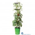 5031670003690 GARLAND ZELF BEWATERENDE POT 11 LITER GROEN
