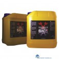 BAC COCOS BLOEI A+B 5 LITER