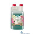 0753321681457-canna-orchidee-special-500ml