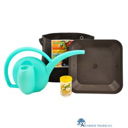 2770962936300-urban-jungle-plantenliefhebber-cadeauset-xs-YcJsB