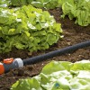 4078500196802 GARDENA DUIZENDDRUPPELSLANG 7.5 METER MOESTUIN WATERBESPAREND