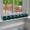 5031670003096-garland-mini-high-dome-propagator-set-van-3-17-x-10-x-125-cm-op-de-vensterbank-g85x3