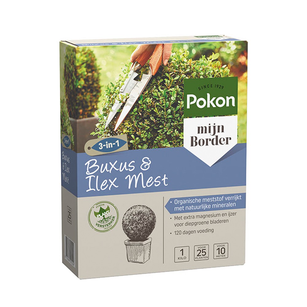 POKON BUXUS & ILEX FERTILIZER 1KG
