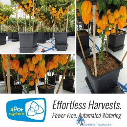 5060151870162-autopot-4pot-system-kweken-zonder-moete