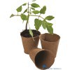 5031670502803 GARLAND VEZEL POT ROND Ø 6 X 6 CM VERPAKT PER 24 ZADEN