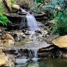 5010646058223hozelock-cyprio-filter-en-watervalpomp-sfeerfoto-1000px