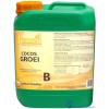 8719172540291 FERRO STANDAARD COCOS GROEI B 5 LITER