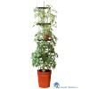 5031670003720 GARLAND ZELF BEWATERENDE POT 11 LITER ROOD
