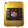 BAC F1 EXTREME BOOSTER 5 LITER