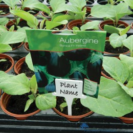 5031670508546-garland-witte-plantenlabels-t-vorm-10-stuks-sfeer-g9i0Q