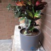8004779025112-gf-garden-aquaflora-holiday-plant-large-plantcontainer