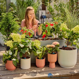 4078500049009-gardena-smart-sensor-19040-20-ook-voor-terras-en-potplanten