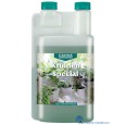 8717662948886-canna-kruiden-special-500-ml-de-beste-plantenvoeding-voor-kruiden