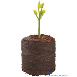 5031670503206 GARLAND KOKOSTABLET 20 X Ø36 MM