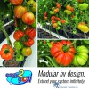 5060151870001-autopot-easy2grow-kweeksysteem-modulair-ontwerp