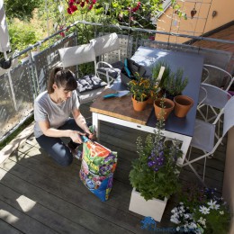 KNIPPEN 4078500030380 GARDENA CITY GARDENING BALKON SNOEISCHAAR